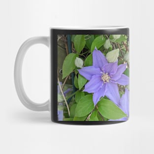 Clematis Fuji-Museme Flowers 4 Mug